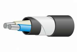 АВБШвнг(А) 2* 50 ок-0,66