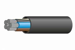 АсВВГнг(А)-LS 5* 25 мк-0,66