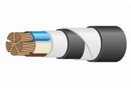 ВБШвнг(А)-LS 5*185 мс-1